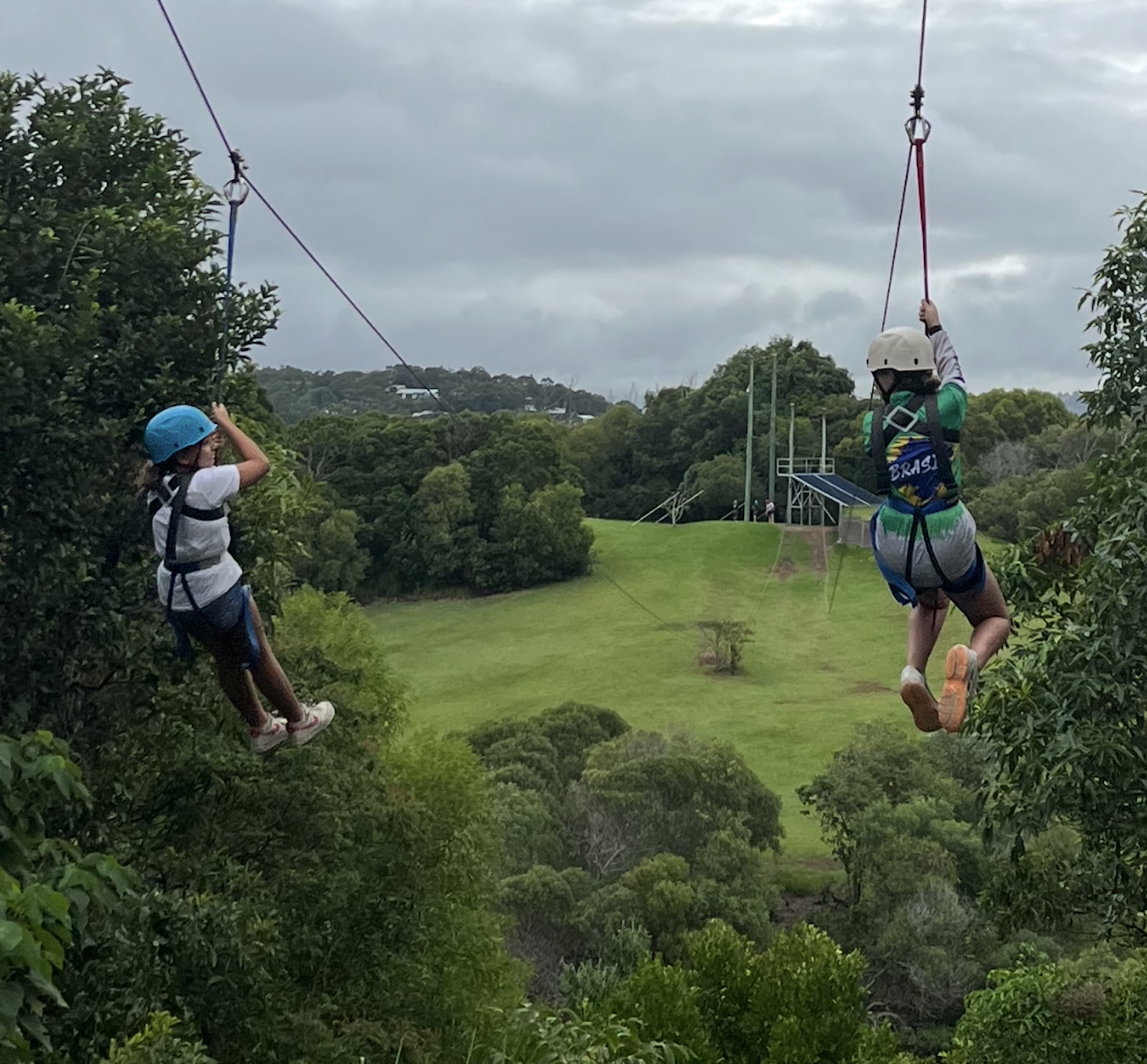 flying fox.jpg