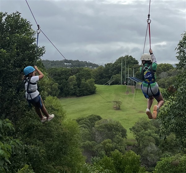 Flying Fox